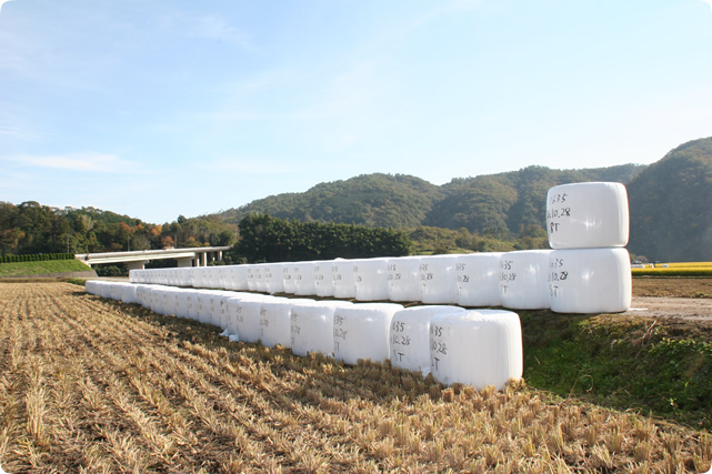 認証牧場で食育・体験学習