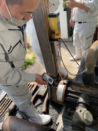 北海道等の育成牧場に預託し育成管理