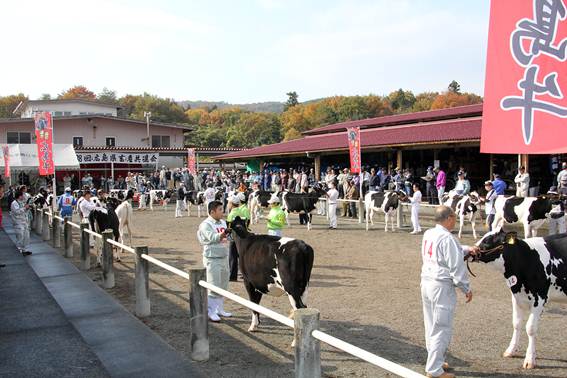 （11／13，全農広島県本部三次家畜市場）	